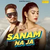 About Sanam Na Ja Song
